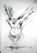 akos_images